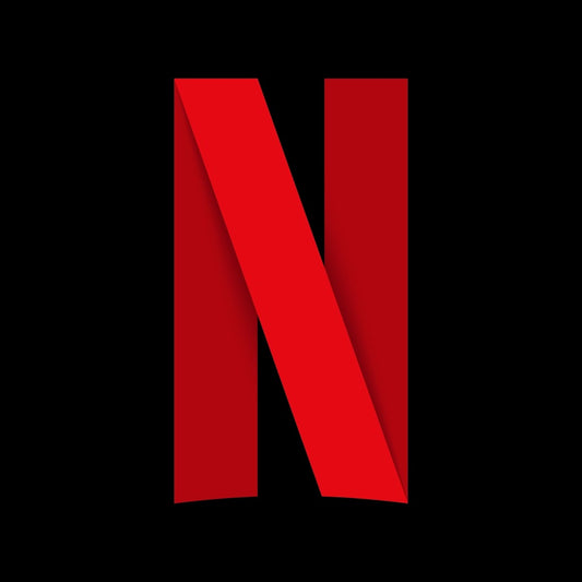 NETFLIX 1 YEAR